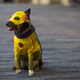 Cosplay by The Cosplay Dog
